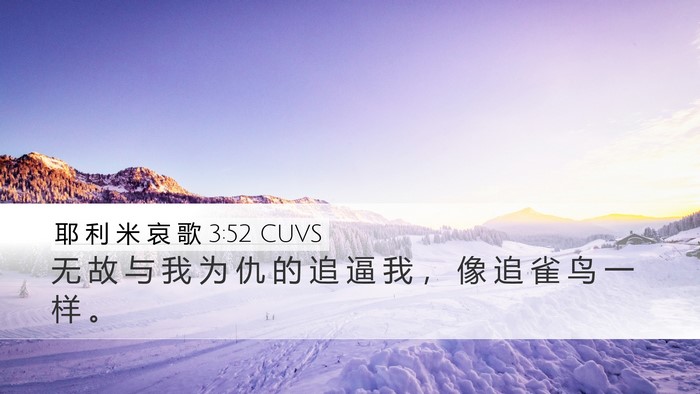耶 利 米 哀 歌 3:52 CUVS Bible Verse Image