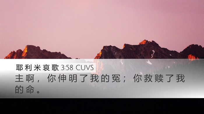 耶 利 米 哀 歌 3:58 CUVS Bible Verse Image