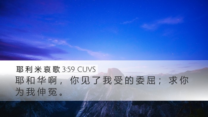 耶 利 米 哀 歌 3:59 CUVS Desktop Wallpaper - 耶 和 华 啊 ， 你 见 了 我 受 的 委 - Desktop Bible Verse Wallpaper