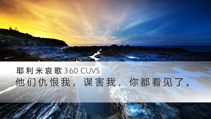 耶 利 米 哀 歌 3:60 CUVS Desktop Wallpaper - 他 们 仇 恨 我 ， 谋 害 我 ， 你 都 - Desktop Bible Verse Wallpaper