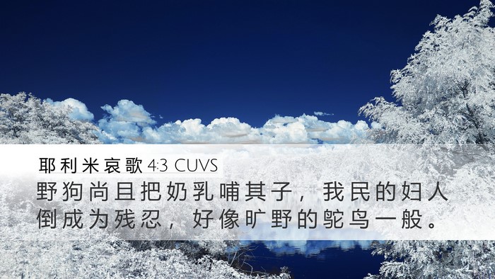 耶 利 米 哀 歌 4:3 CUVS Bible Verse Image