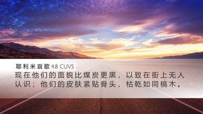 耶 利 米 哀 歌 4:8 CUVS Bible Verse Image