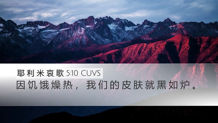 耶 利 米 哀 歌 5:10 CUVS Bible Verse Image