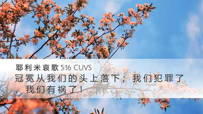 耶 利 米 哀 歌 5:16 CUVS Bible Verse Image