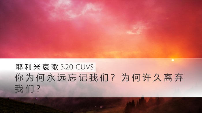 耶 利 米 哀 歌 5:20 CUVS Bible Verse Image