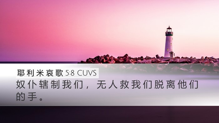 耶 利 米 哀 歌 5:8 CUVS Bible Verse Image