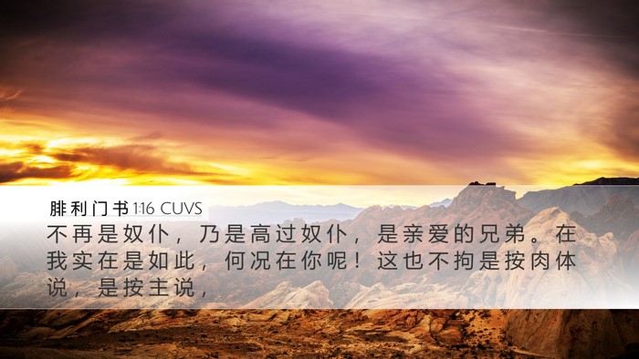 腓 利 门 书 1:16 CUVS Desktop Wallpaper - 不 再 是 奴 仆 ， 乃 是 高 过 奴 仆 - Desktop Bible Verse Wallpaper