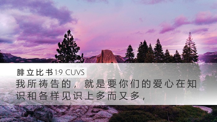 腓 立 比 书 1:9 CUVS Bible Verse Image