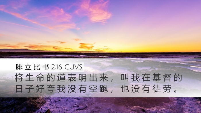 腓 立 比 书 2:16 CUVS Bible Verse Image