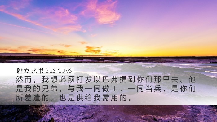 腓 立 比 书 2:25 CUVS Bible Verse Image