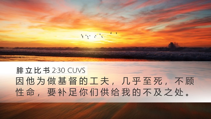 腓 立 比 书 2:30 CUVS Bible Verse Image