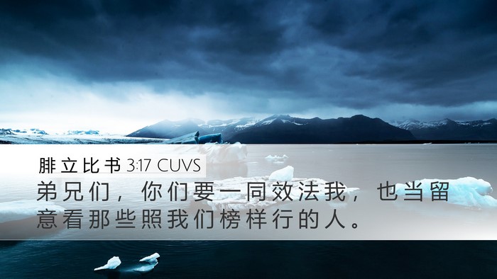 腓 立 比 书 3:17 CUVS Bible Verse Image