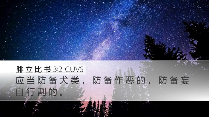 腓 立 比 书 3:2 CUVS Bible Verse Image