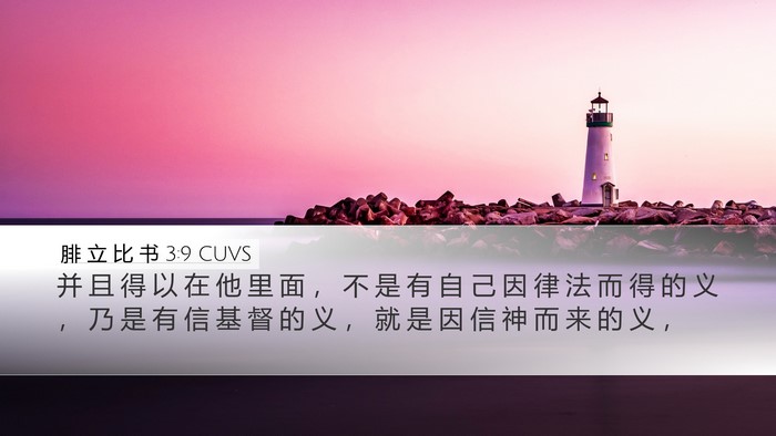 腓 立 比 书 3:9 CUVS Bible Verse Image
