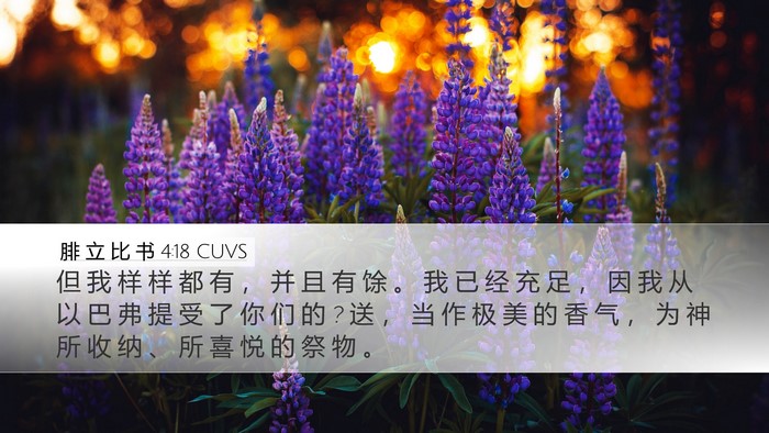 腓 立 比 书 4:18 CUVS Bible Verse Image