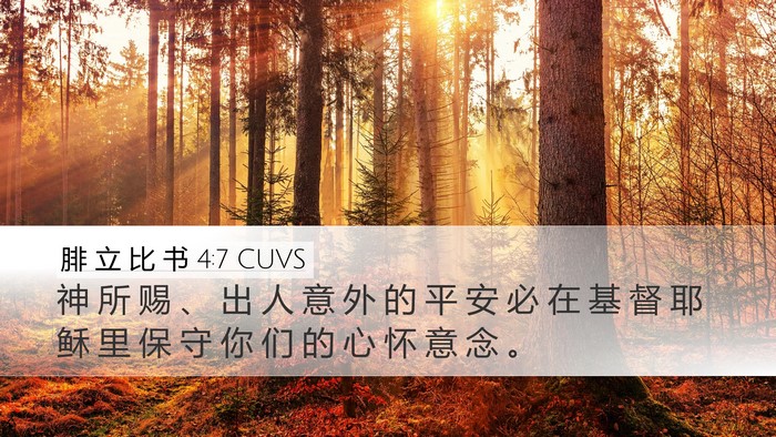 腓 立 比 书 4:7 CUVS Bible Verse Image