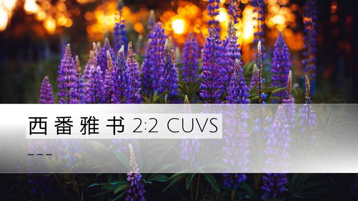 西 番 雅 书 2:2 CUVS Bible Verse Image