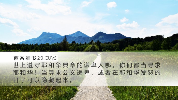 西 番 雅 书 2:3 CUVS Bible Verse Image