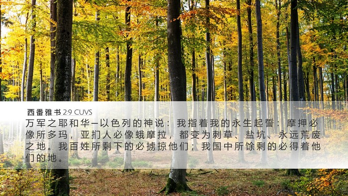 西 番 雅 书 2:9 CUVS Bible Verse Image
