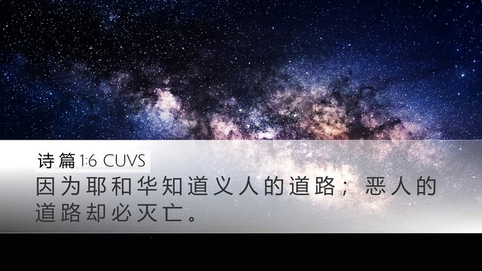 诗 篇 1:6 CUVS Bible Verse Image