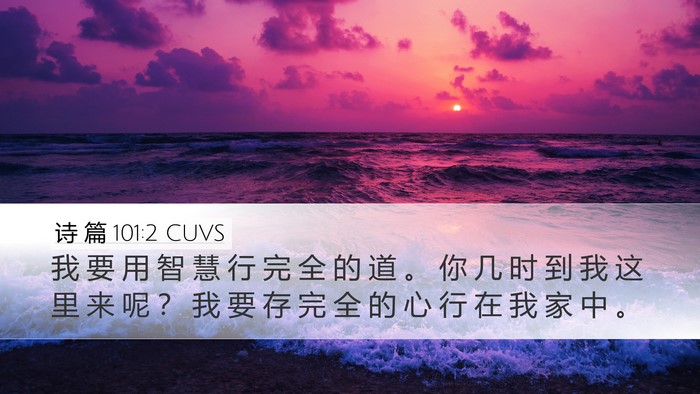 诗 篇 101:2 CUVS Bible Verse Image