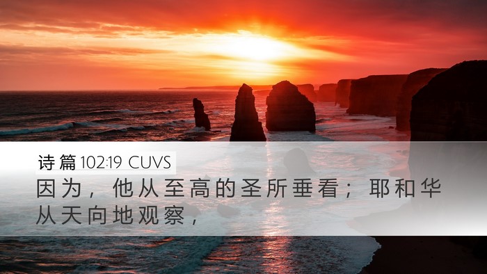 诗 篇 102:19 CUVS Bible Verse Image