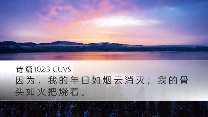 诗 篇 102:3 CUVS Bible Verse Image