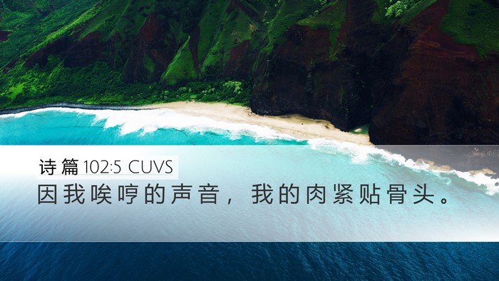 诗 篇 102:5 CUVS Bible Verse Image