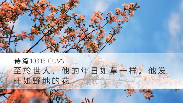 诗 篇 103:15 CUVS Bible Verse Image