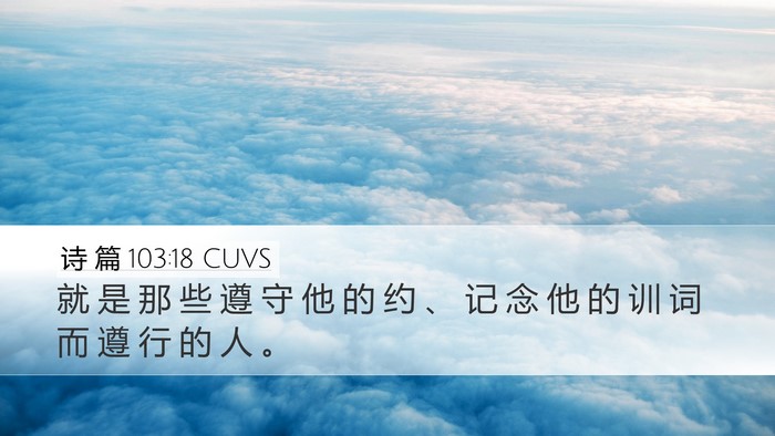 诗 篇 103:18 CUVS Desktop Wallpaper - 就 是 那 些 遵 守 他 的 约 、 记 念 - Desktop Bible Verse Wallpaper