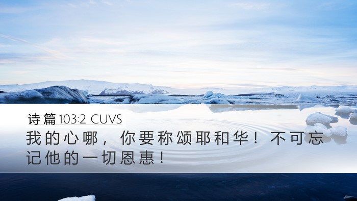 诗 篇 103:2 CUVS Bible Verse Image