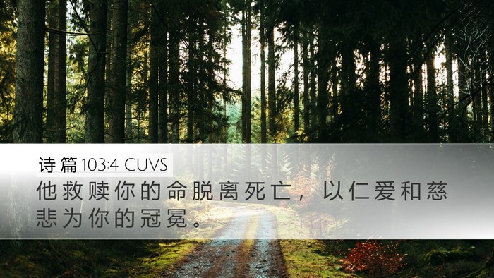 诗 篇 103:4 CUVS Bible Verse Image