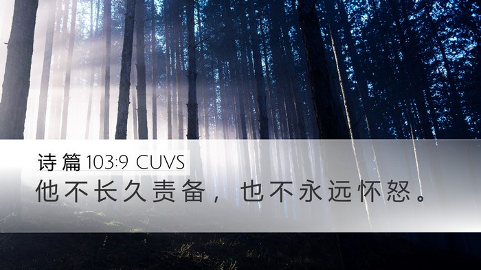 诗 篇 103:9 CUVS Desktop Wallpaper - 他 不 长 久 责 备 ， 也 不 永 远 怀 - Desktop Bible Verse Wallpaper