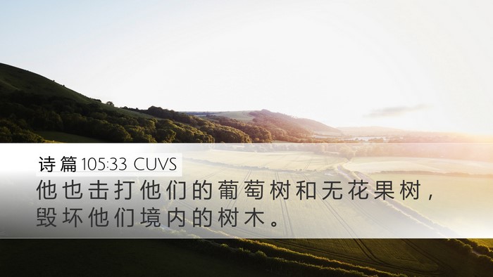 诗 篇 105:33 CUVS Desktop Wallpaper - 他 也 击 打 他 们 的 葡 萄 树 和 无 - Desktop Bible Verse Wallpaper