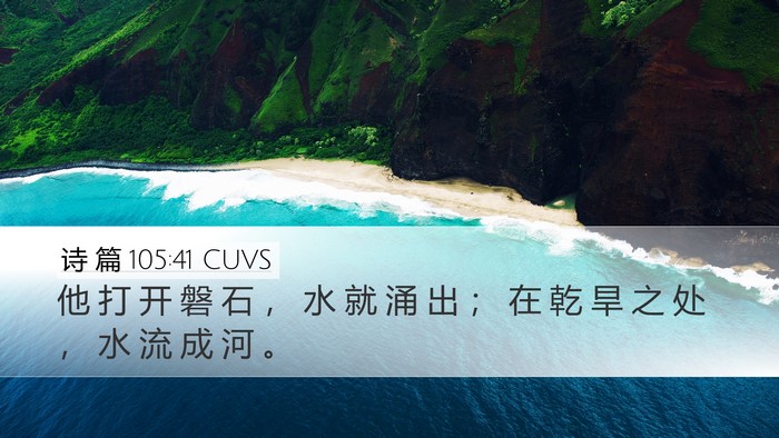 诗 篇 105:41 CUVS Bible Verse Image