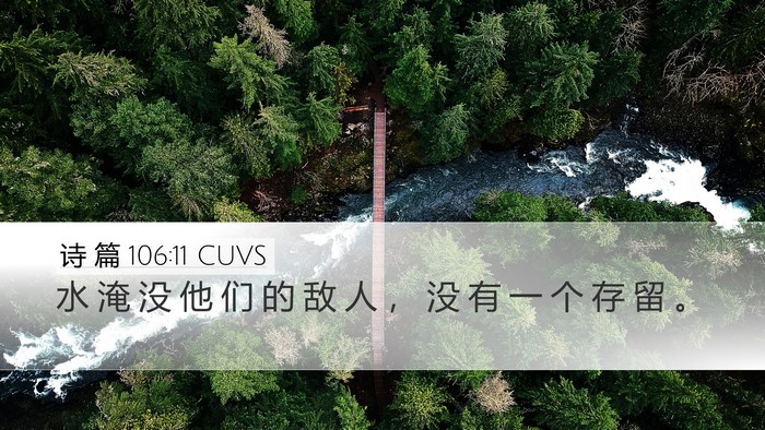 诗 篇 106:11 CUVS Bible Verse Image