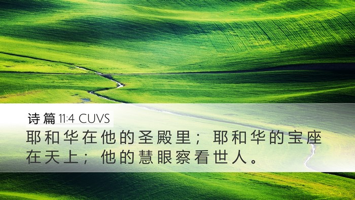 诗 篇 11:4 CUVS Bible Verse Image