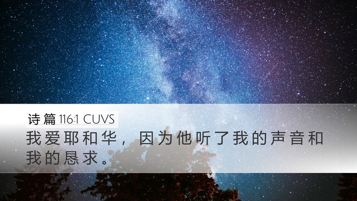 诗 篇 116:1 CUVS Bible Verse Image