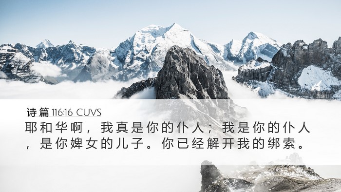 诗 篇 116:16 CUVS Bible Verse Image