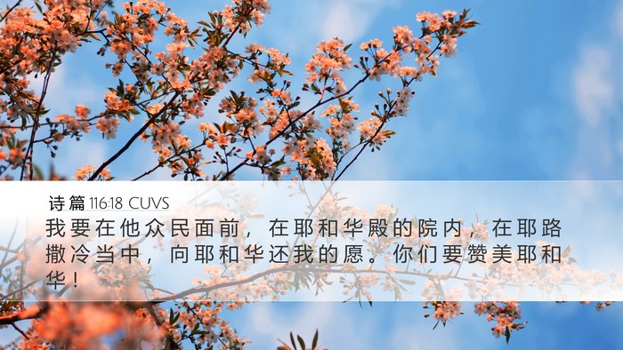 诗 篇 116:18 CUVS Bible Verse Image