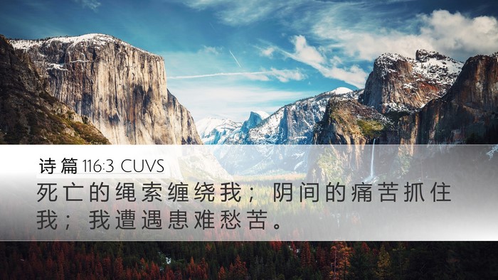 诗 篇 116:3 CUVS Bible Verse Image