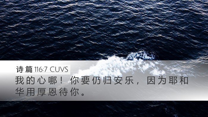诗 篇 116:7 CUVS Bible Verse Image