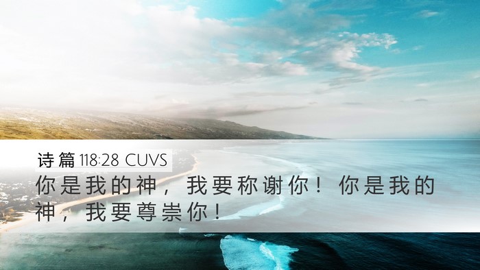 诗 篇 118:28 CUVS Bible Verse Image
