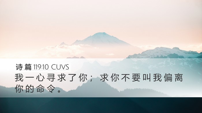诗 篇 119:10 CUVS Bible Verse Image