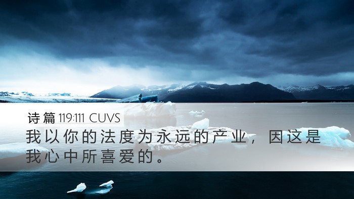 诗 篇 119:111 CUVS Bible Verse Image