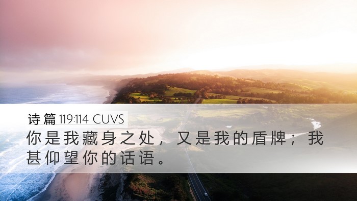诗 篇 119:114 CUVS Bible Verse Image