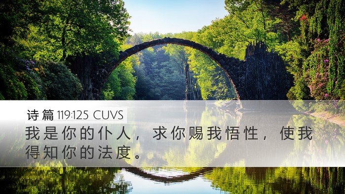 诗 篇 119:125 CUVS Bible Verse Image