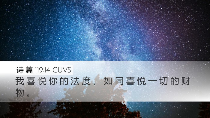 诗 篇 119:14 CUVS Bible Verse Image