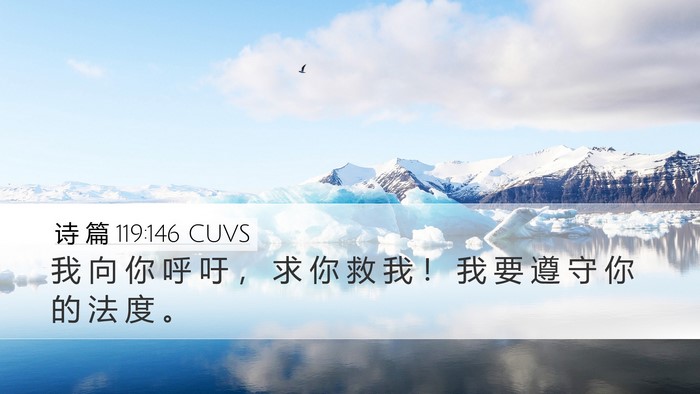 诗 篇 119:146 CUVS Desktop Wallpaper - 我 向 你 呼 吁 ， 求 你 救 我 ！ 我 - Desktop Bible Verse Wallpaper