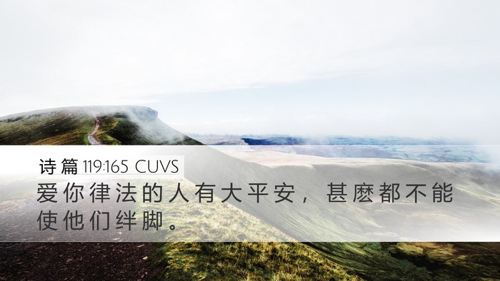 诗 篇 119:165 CUVS Bible Verse Image